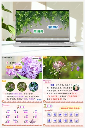2 丁香结（课件+教案+说课稿+教学反思+视频） 人教版小学语文六年级上册 第一单元