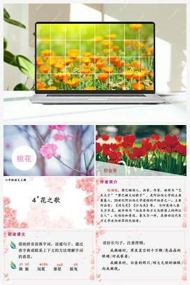4 花之歌（课件+教案） 人教版小学语文六年级上册