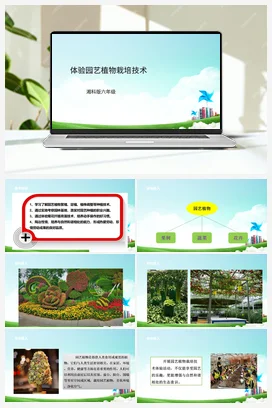 第11课《体验园艺植物栽培技术》课件+教案 湘科版《综合实践活动》六年级全册